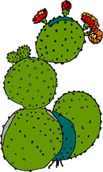 Soar con: Cactus
