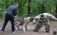 Soar con: Defenderse