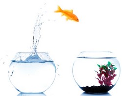 So�ar con: Desaf�o