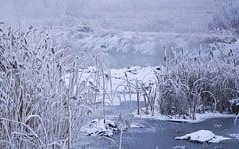 So�ar con: Deshielo