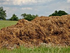 So�ar con: Esti�rcol