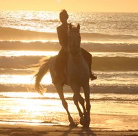 So�ar con: Galopar