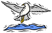 Soar con: Gaviota