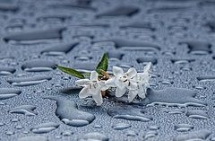 So�ar con: Humedad