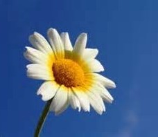 So�ar con: Margarita