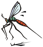 Soar con: Mosquitos